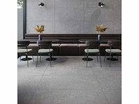 Bien arcides grey mat 30x60 cm tegel 64,8 m² - afbeelding 10 van  14