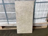 Bien arcides latte 30x60 cm tegel 129,6 m² - afbeelding 7 van  13