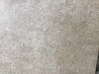 Bien arcides latte 30x60 cm tegel 129,6 m² - afbeelding 11 van  13