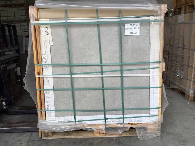 Bien bona dea light grey mat 100x100 cm tegel 180 m² - afbeelding 1 van  6