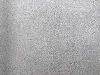 Bien bona dea light grey mat 100x100 cm tegel 180 m² - afbeelding 2 van  6