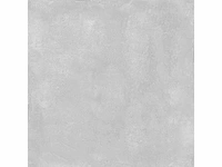 Bien bona dea light grey mat 100x100 cm tegel 180 m² - afbeelding 3 van  6