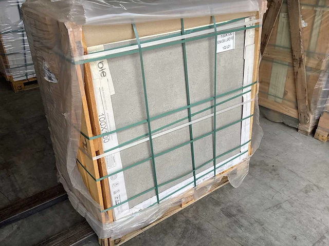 Bien bona dea light grey mat 100x100 cm tegel 180 m² - afbeelding 4 van  6