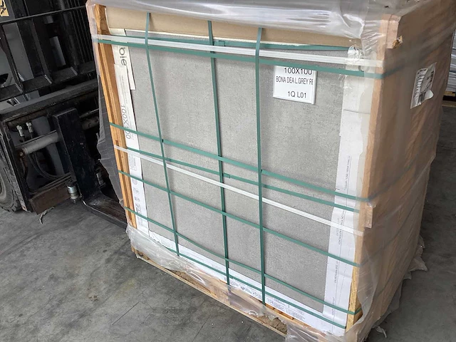 Bien bona dea light grey mat 100x100 cm tegel 180 m² - afbeelding 5 van  6