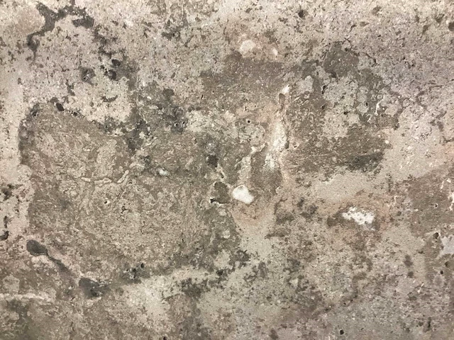 Bien gris travertino mat 100x100 cm tegel 60 m² - afbeelding 3 van  12