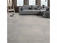 Bien hampton grey mat 100x100 cm tegel 60 m² - afbeelding 1 van  13