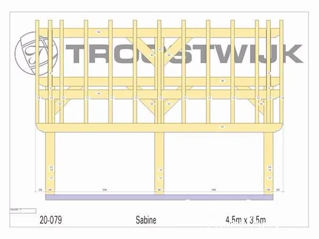 Bijgebouw fijnspar 4,5x3,5 - afbeelding 19 van  20