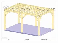 Bijgebouw fijnspar 4,5x3 - afbeelding 9 van  16