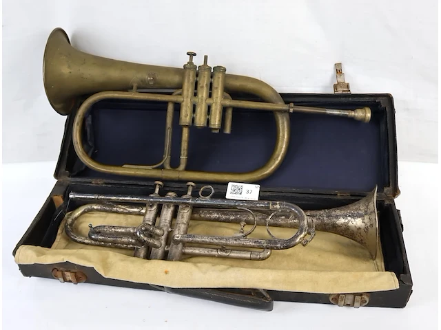 Blaasinstrument (x2) - afbeelding 1 van  4