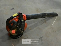 Bladblazer echo - afbeelding 1 van  5
