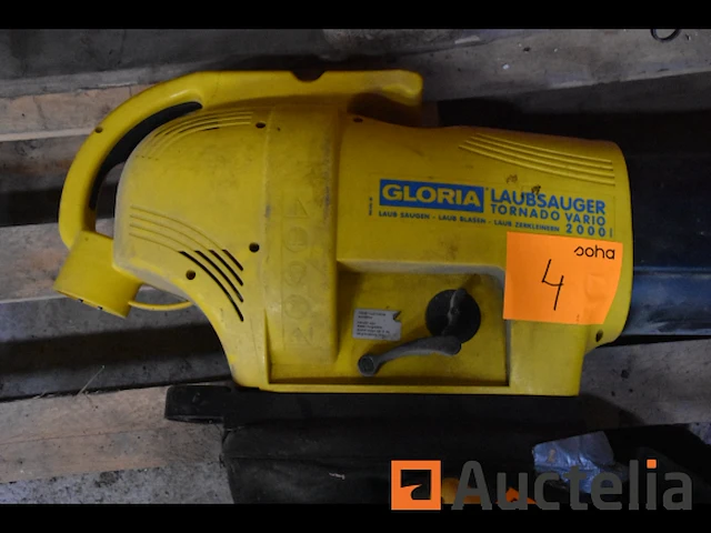 Bladblazer gloria en bosmaaier pp - afbeelding 6 van  8