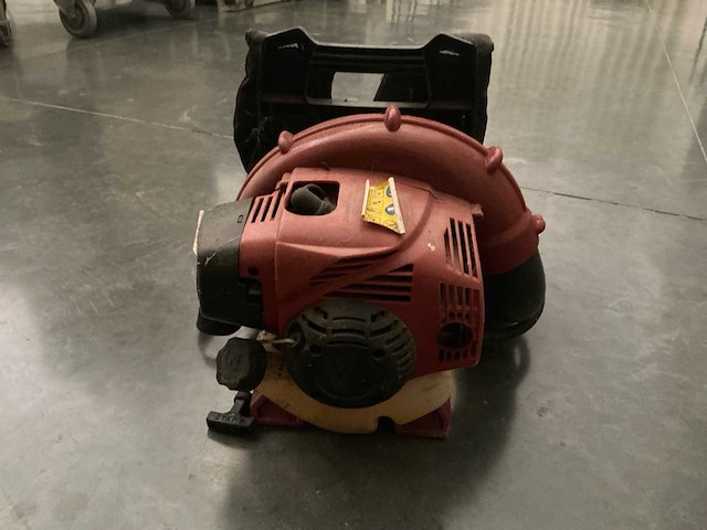 Bladblazer - afbeelding 2 van  5