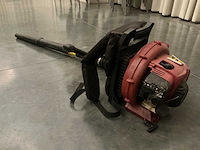 Bladblazer - afbeelding 3 van  5