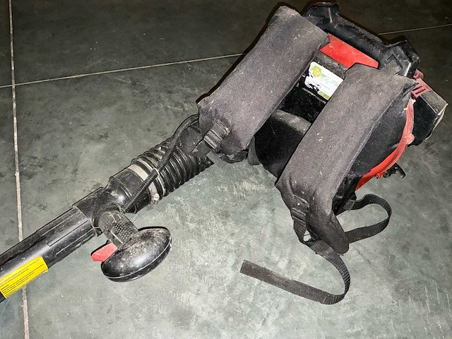 Bladblazer - afbeelding 4 van  5