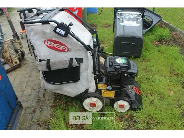 Bladzuiger ibea - afbeelding 1 van  5