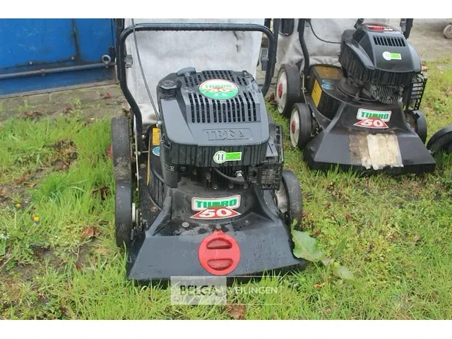 Bladzuiger ibea - afbeelding 2 van  5