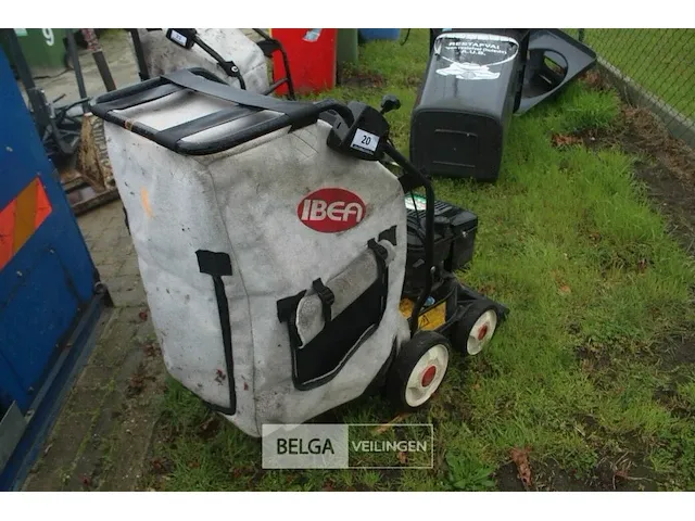 Bladzuiger ibea - afbeelding 4 van  5