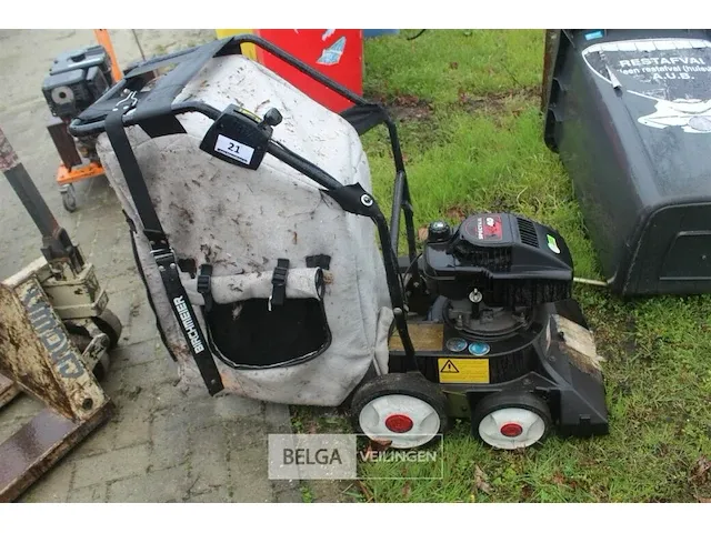 Bladzuiger ibea - afbeelding 1 van  5