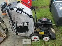 Bladzuiger ibea - afbeelding 1 van  5