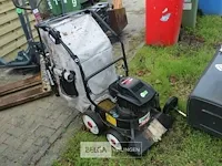 Bladzuiger ibea - afbeelding 2 van  5