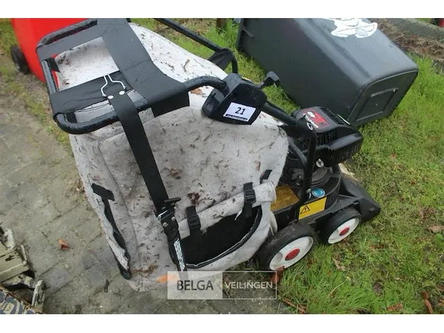 Bladzuiger ibea - afbeelding 5 van  5