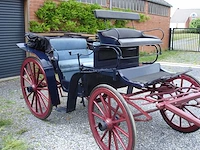 Blauw victoriaans ceremonieel vervoer - afbeelding 3 van  11