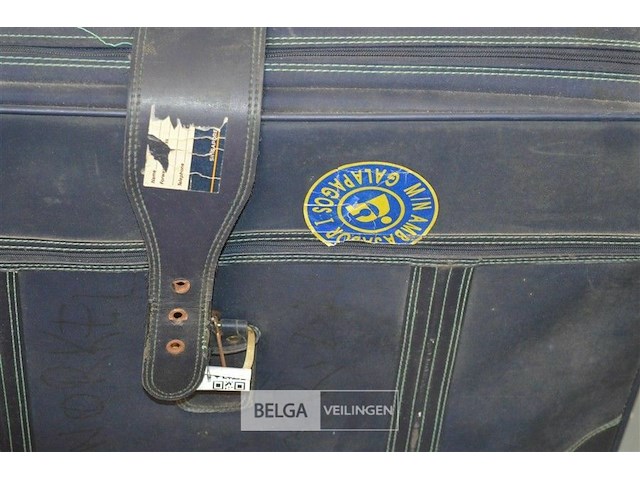 Blauwe reiskoffer en 2 zwemvliezen - afbeelding 2 van  5