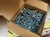 Blindmoeren m 10 - afbeelding 4 van  4