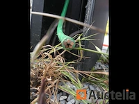 Blitz laadstation voor elektrische voertuigen - afbeelding 4 van  8