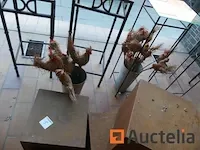 Bloemist winkel meubilair - afbeelding 7 van  7