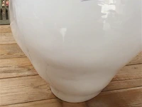 Bloempot - afbeelding 3 van  3