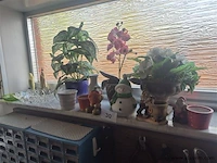 Bloempotten en decoratief materiaal - afbeelding 1 van  3