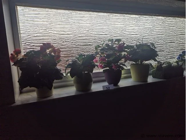 Bloempotten en decoratief materiaal - afbeelding 2 van  3