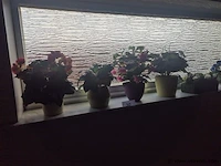 Bloempotten en decoratief materiaal - afbeelding 2 van  3