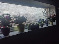 Bloempotten en decoratief materiaal - afbeelding 3 van  3