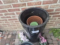 Bloempotten en emmer - afbeelding 2 van  3