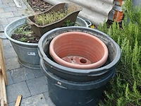 Bloempotten en kolenpot - afbeelding 1 van  4