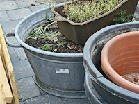 Bloempotten en kolenpot - afbeelding 3 van  4