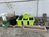 Bloempotten - afbeelding 1 van  5