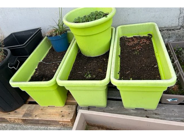 Bloempotten - afbeelding 3 van  5