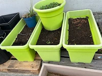 Bloempotten - afbeelding 3 van  5