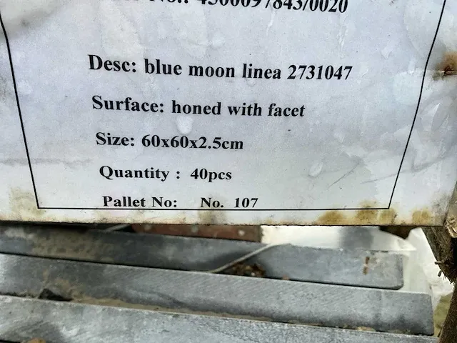 Blue moon linea tuintegels (22x) - afbeelding 3 van  4