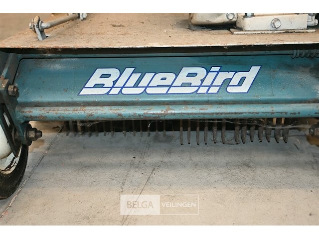 Bluebird verticuteermachine - afbeelding 6 van  6