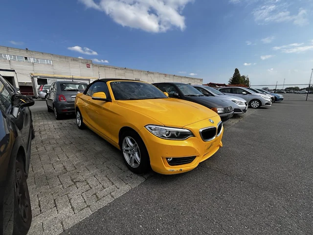 Bmw 2 cabriolet 218 da 150,2 cabriolet 218 da 150 - afbeelding 23 van  30