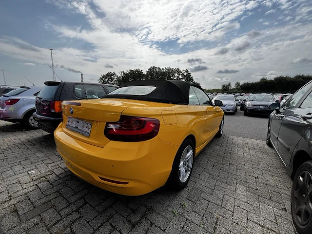 Bmw 2 cabriolet 218 da 150,2 cabriolet 218 da 150 - afbeelding 25 van  30