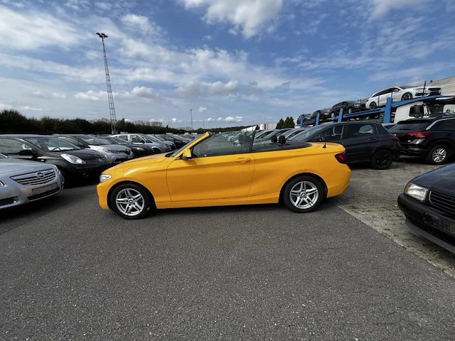 Bmw 2 cabriolet 218 da 150,2 cabriolet 218 da 150 - afbeelding 27 van  30