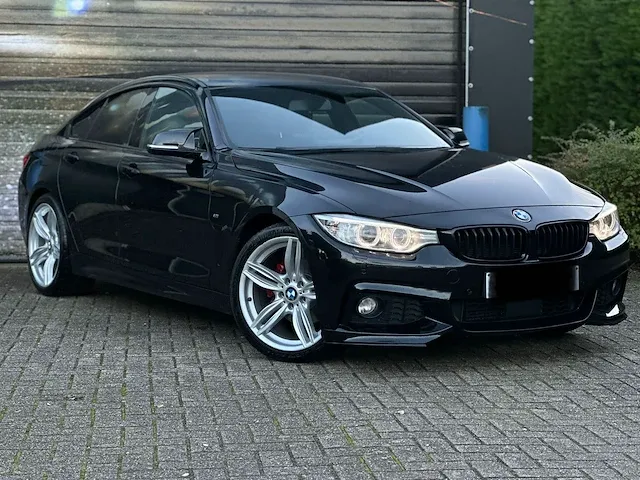 Bmw 420d, 2015 - afbeelding 16 van  19