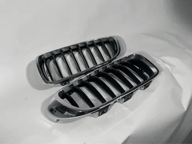 Bmw/mini cooper roosters - afbeelding 25 van  60