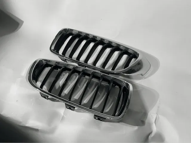 Bmw/mini cooper roosters - afbeelding 26 van  60