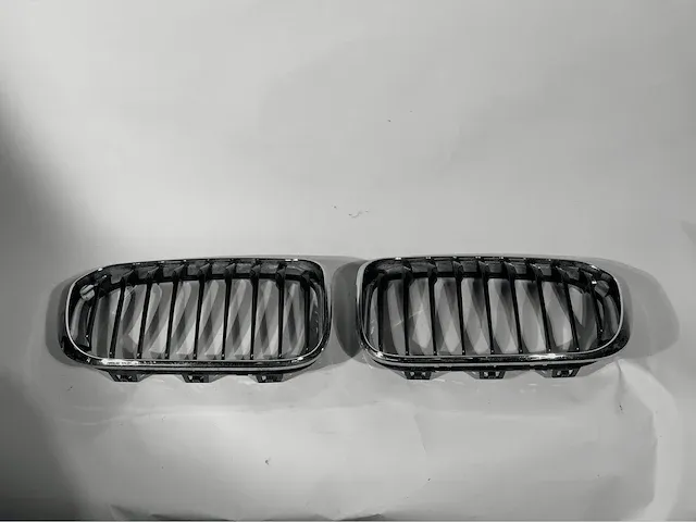 Bmw/mini cooper roosters - afbeelding 51 van  60